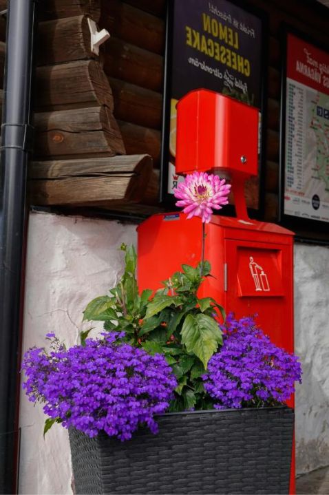 Blumenworkshop Hero
