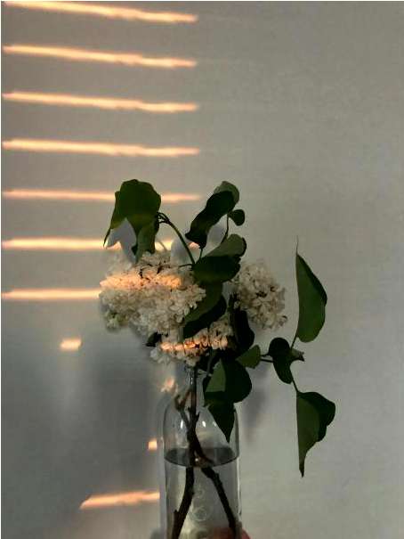 Beispiel Bouquet 2